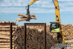 <b>杏耀注册我国林产品进出口贸易额超1800亿美元</b>