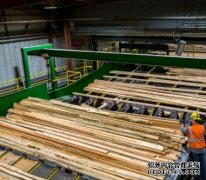 <b>杏耀注册日本在全球率先将木材转化为饮用酒</b>
