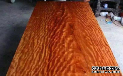 杏耀登录地址,杏耀平台登录